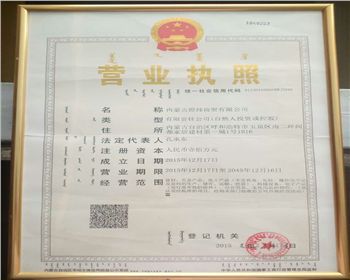內蒙古煜煒新材料技術有限公司營業執照